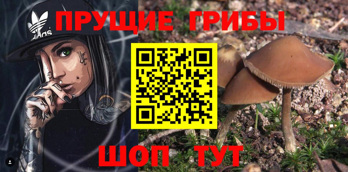 Псилоцибиновые грибы прущие грибы  Вход с VPN  Коркино 